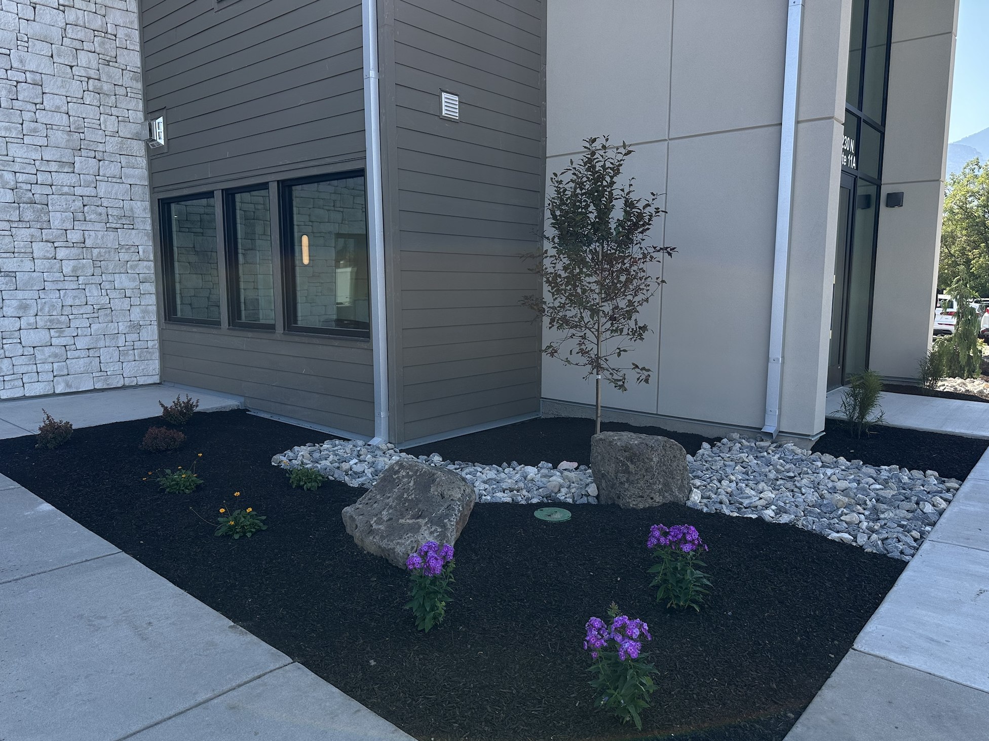 Commercial building with black mulch, boulder accents, and flower planting